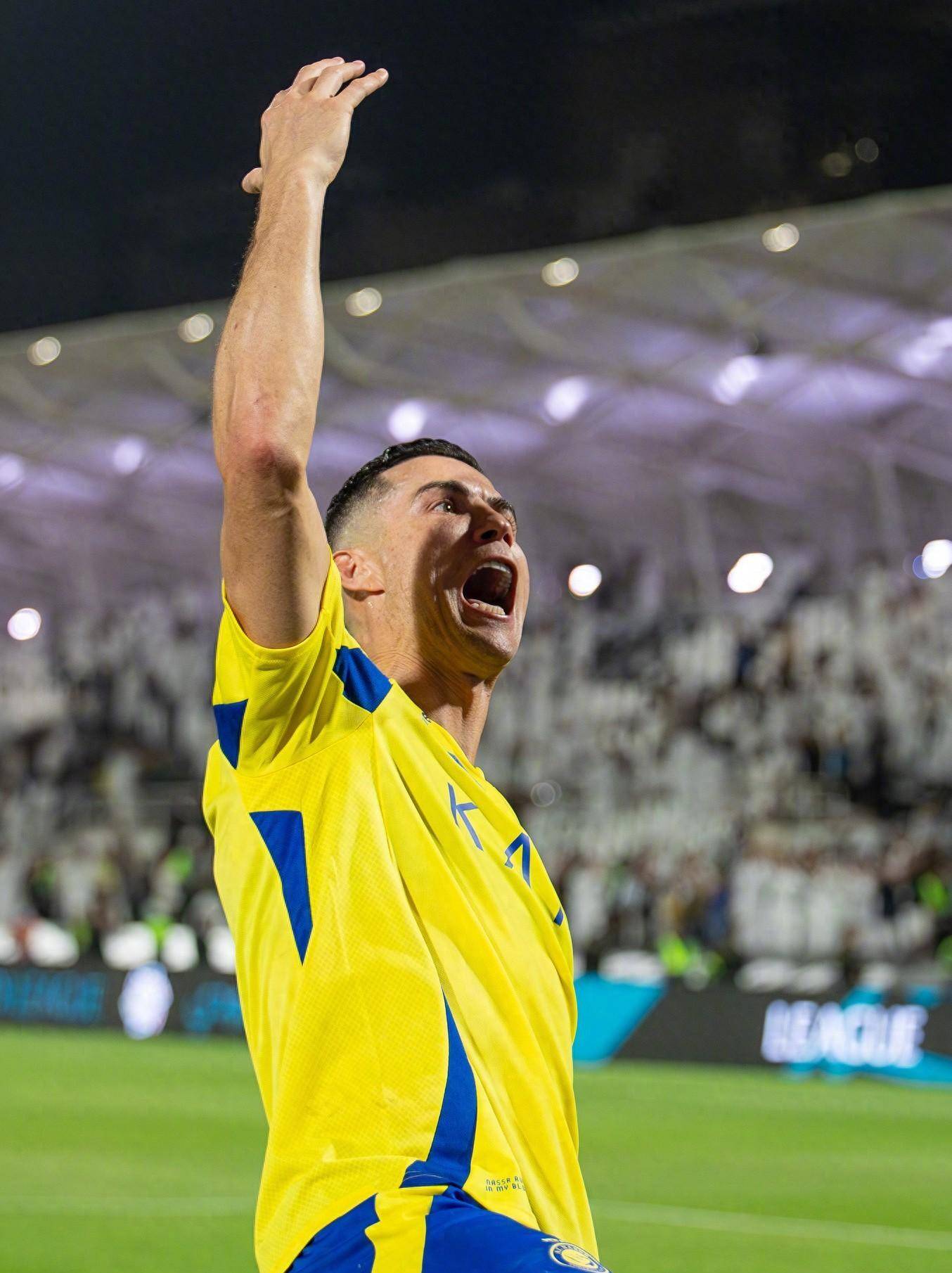 以张莽龙为 以张莽龙为